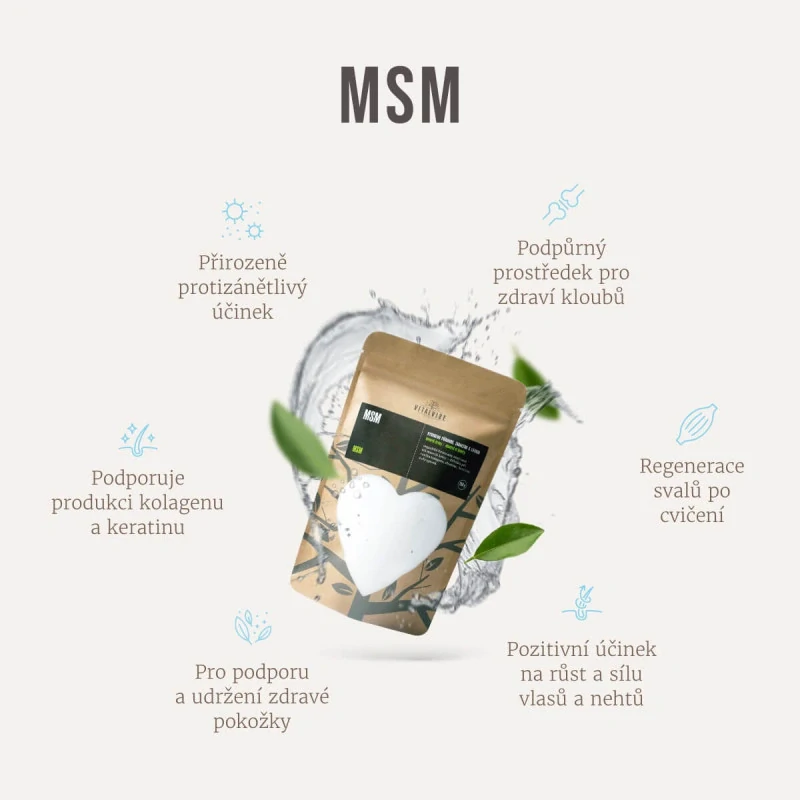 MSM, prášek