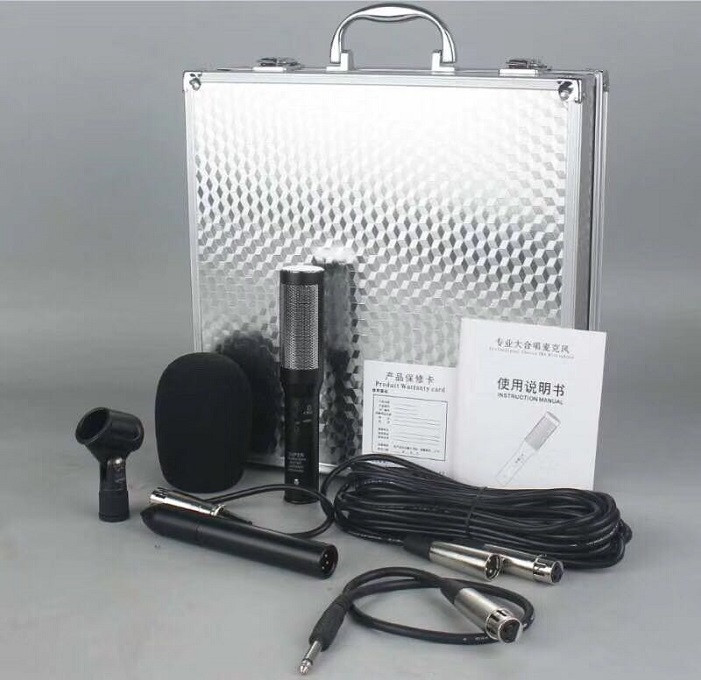 MineSound RM-10