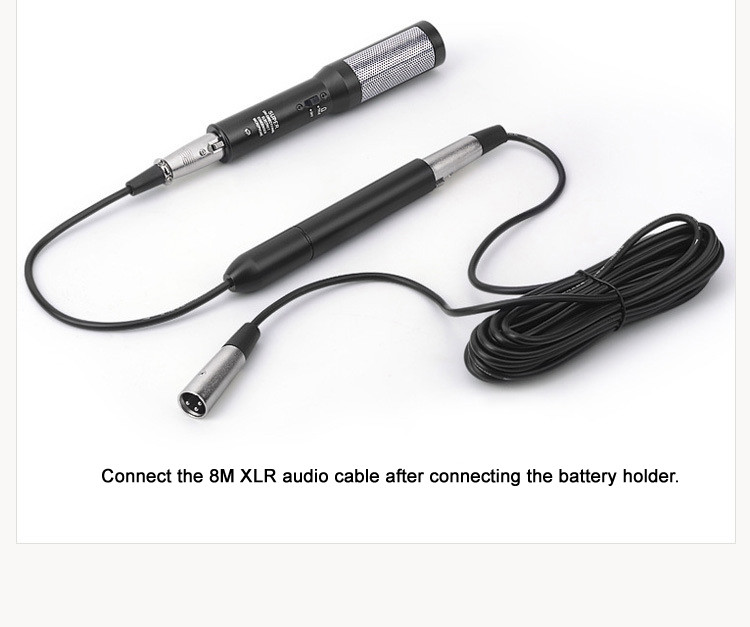 MineSound RM-10