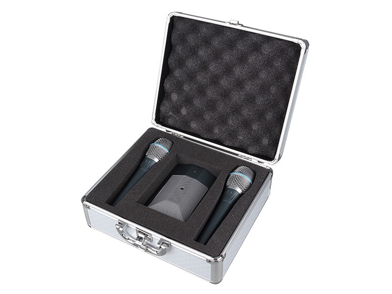 Radigs GM-200