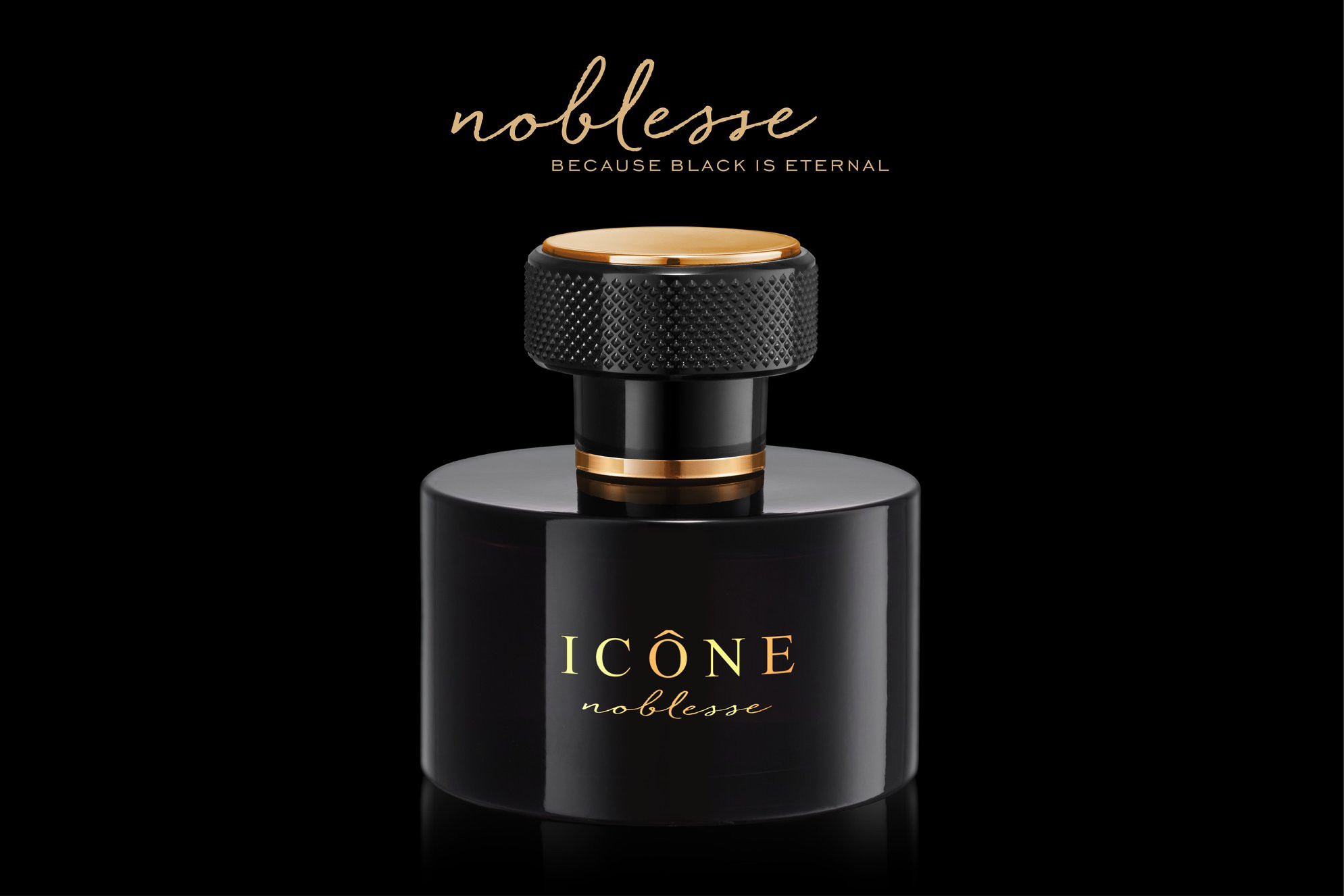 MAVUE Paris ICONE Noblesse