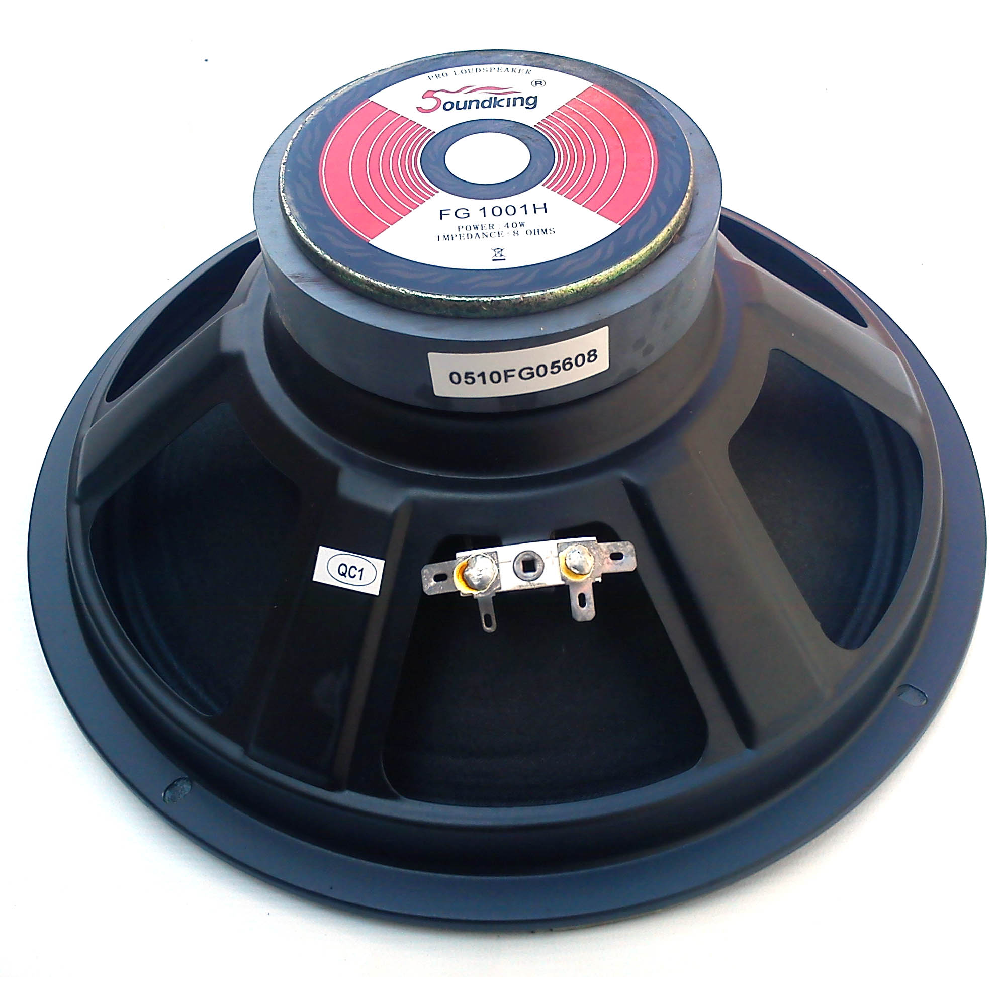 SoundKing FG1001H