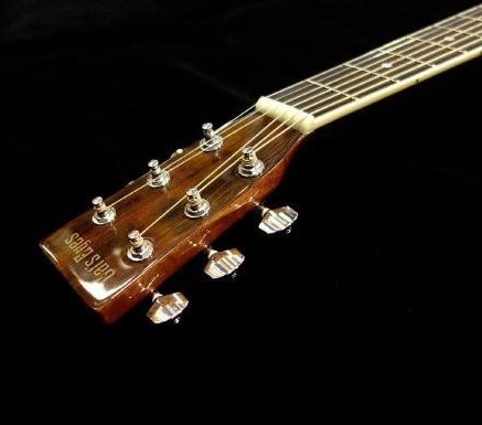 Tokai CE25 BLS