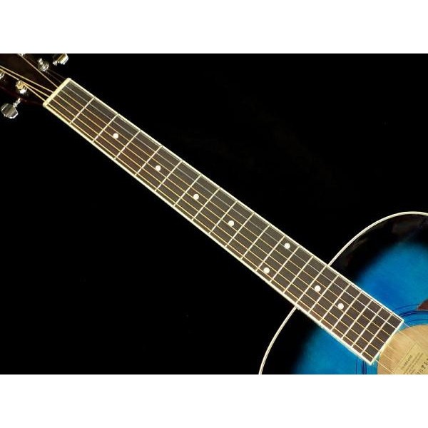 Tokai CE25 BLS