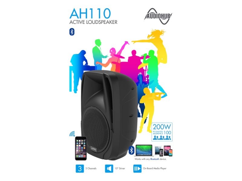 Laney AH110