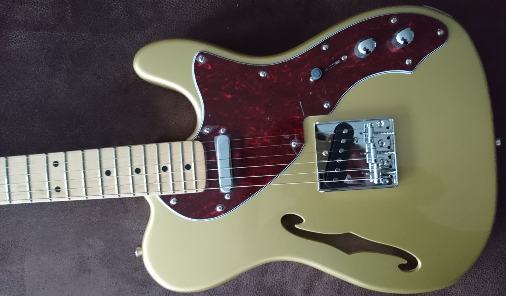 Tokai TTE THIN SGOLD