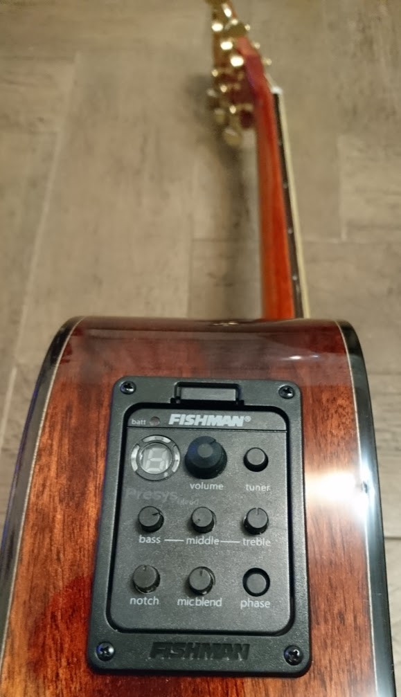 WILD BOAR DLX SUNBURST
