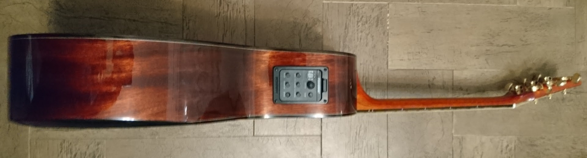 WILD BOAR DLX SUNBURST