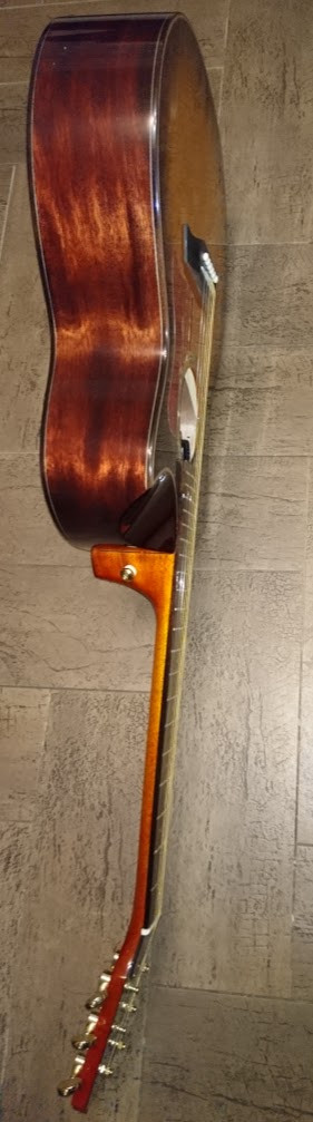 WILD BOAR DLX SUNBURST