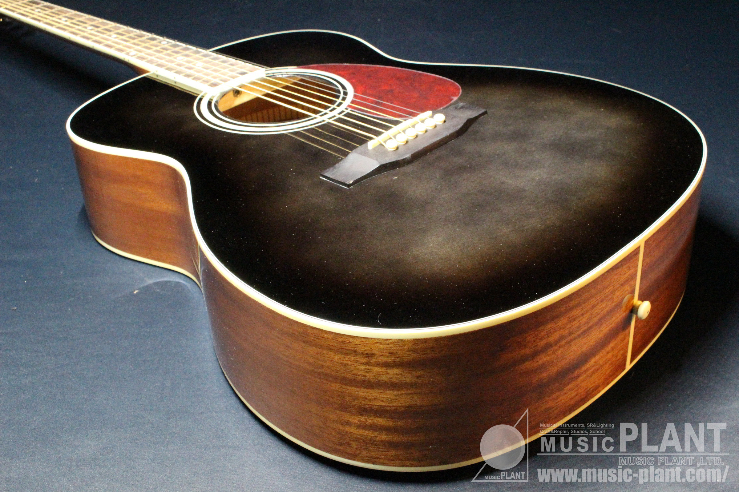 Tokai CE25 BKS