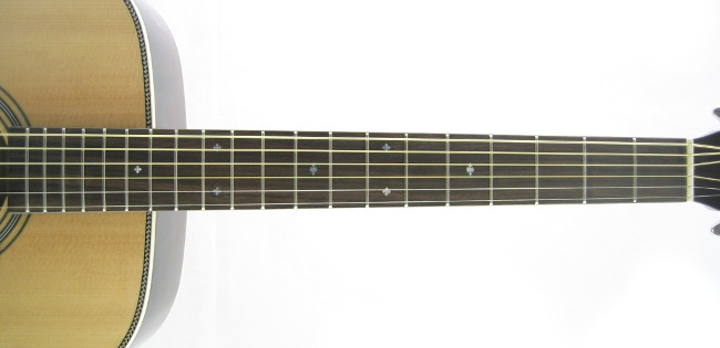 Tokai CE66T