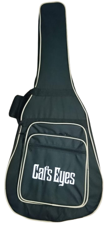 Tokai CE85