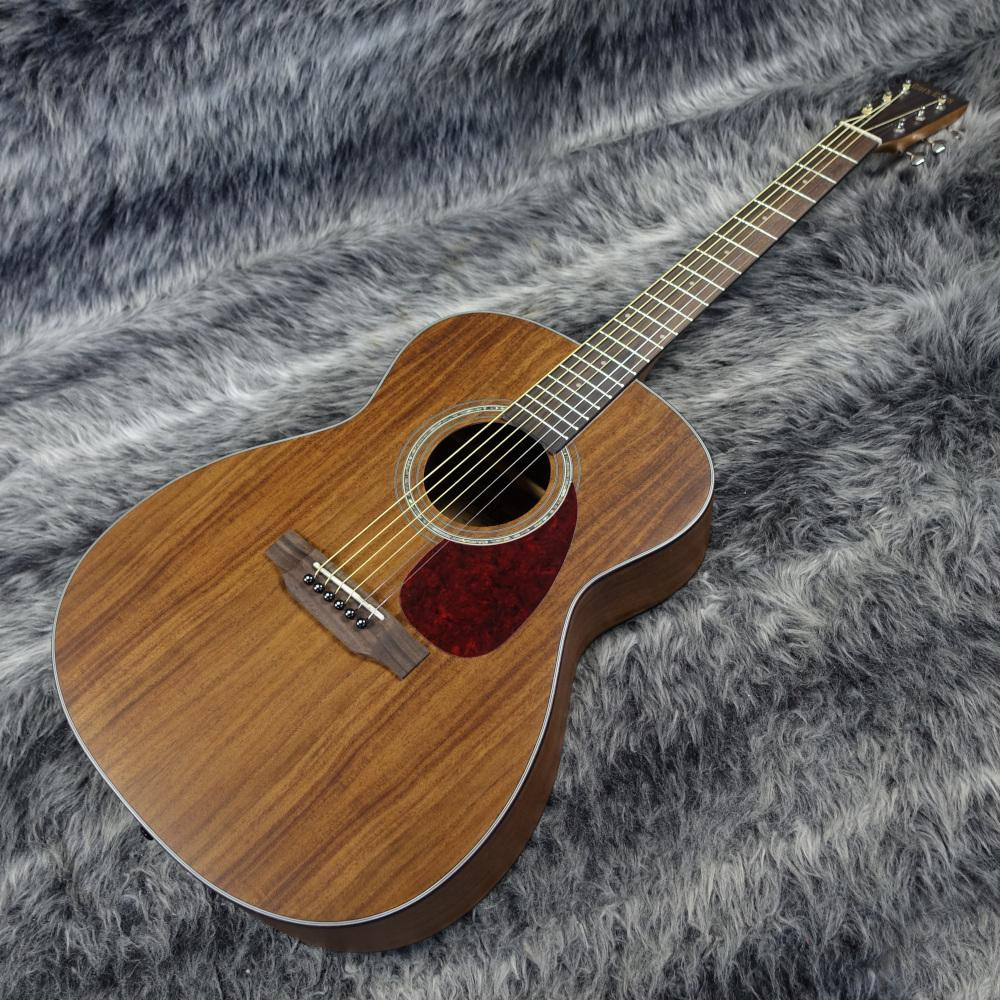 Tokai CE58T-K