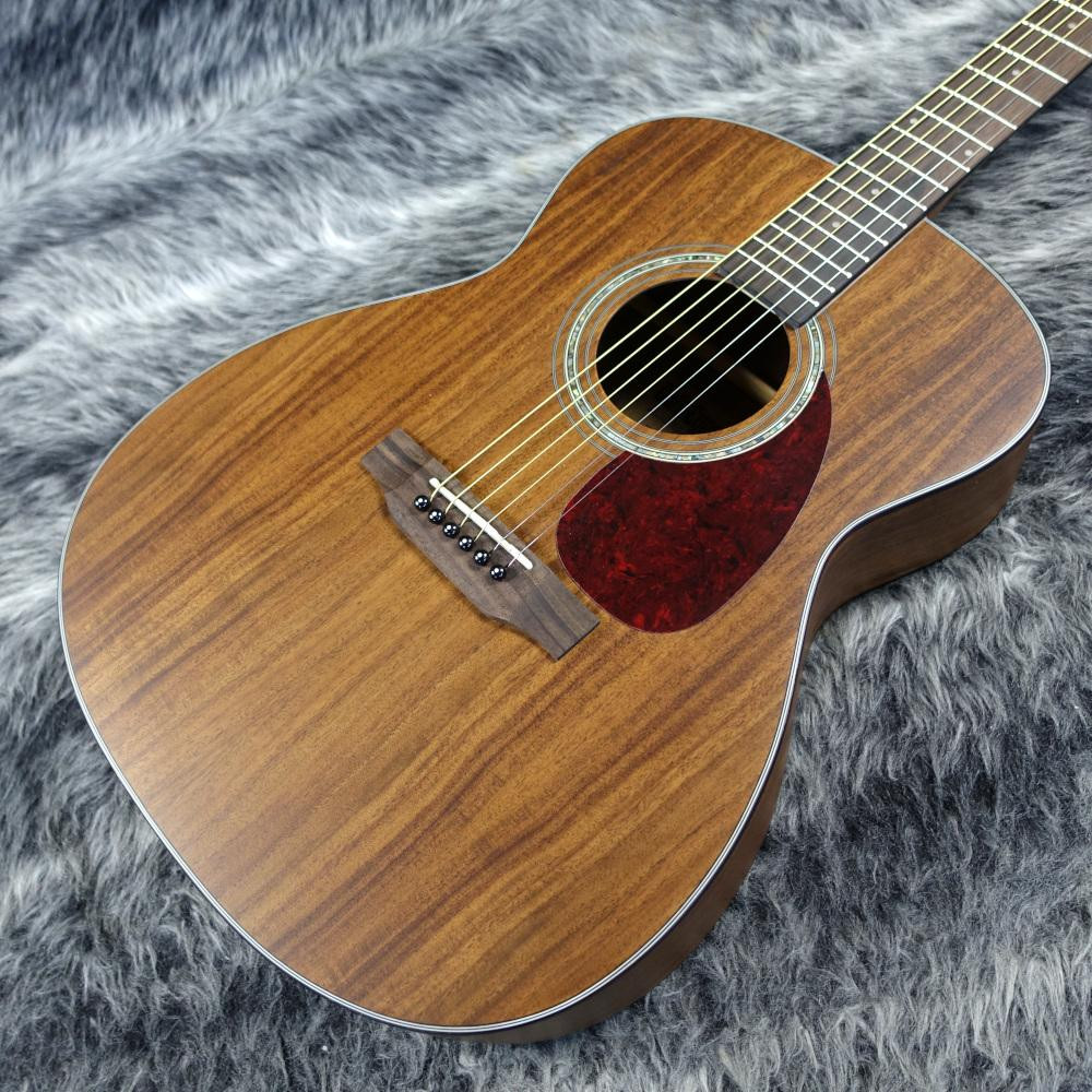 Tokai CE58T-K