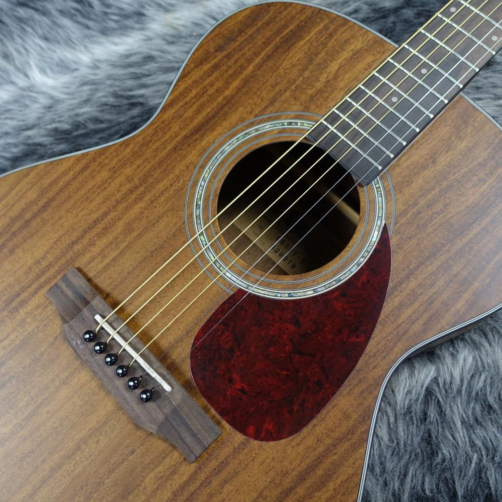 Tokai CE58T-K