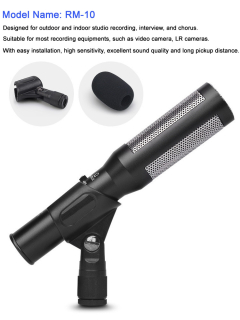 MineSound RM-10