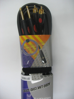 Soundking BI110