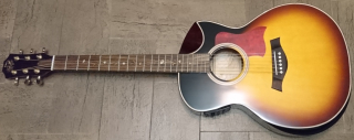 WILD BOAR DLX SUNBURST