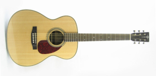 Tokai CE66T