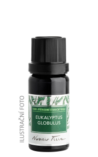 Eukalyptus globulus 50 ml