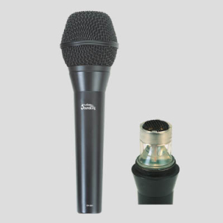 SoundKing EH201