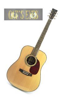 Tokai CE85