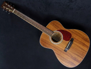 Tokai CE58T-K