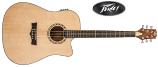 Peavey Delta Woods DW-2 CE