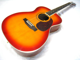Tokai CE25T CS